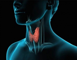 Болезни щитовидной железы: описание и симптомы